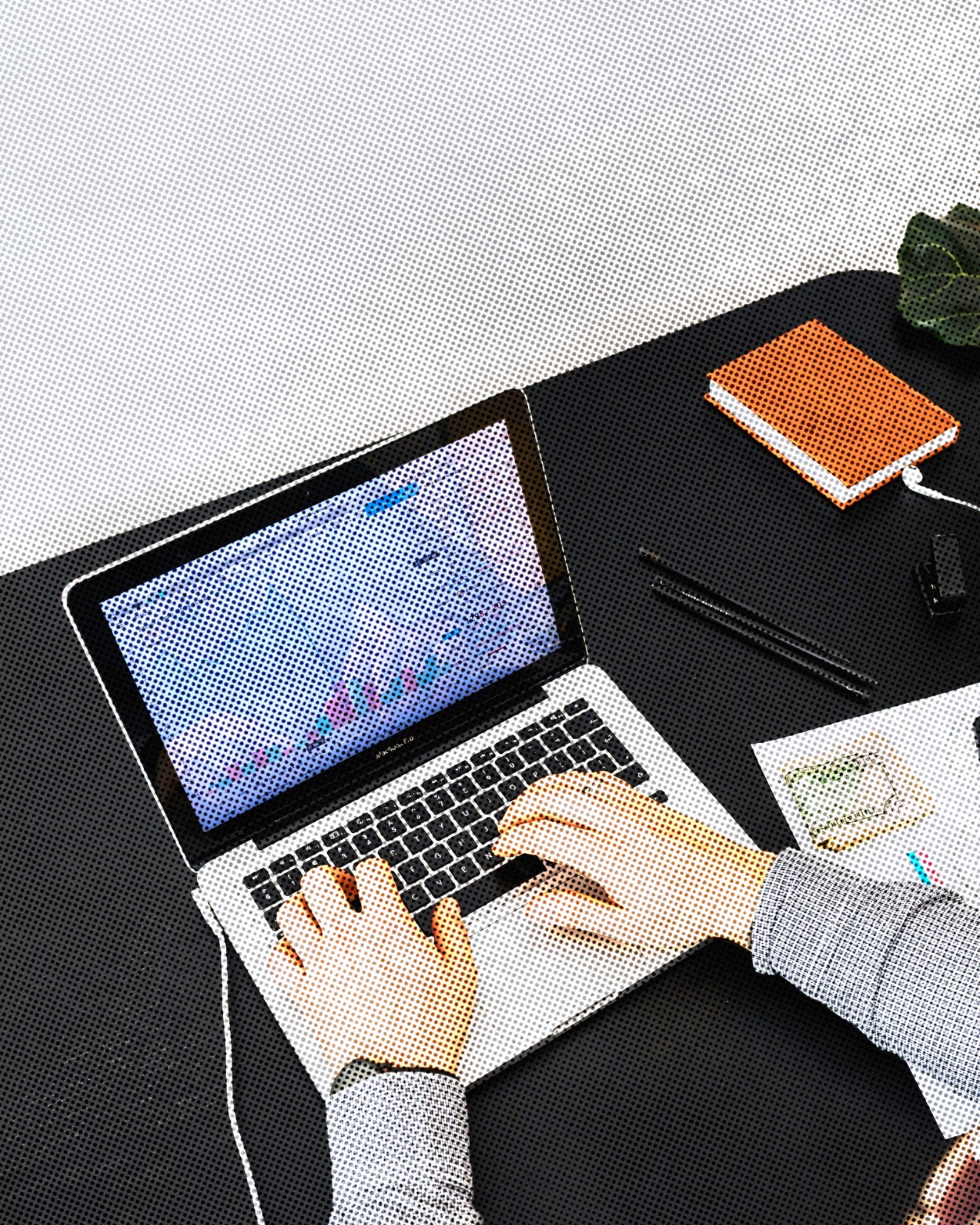 Registro y trazabilidad